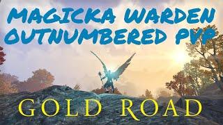 Magicka Warden 1vX PVP - ESO Gold Road