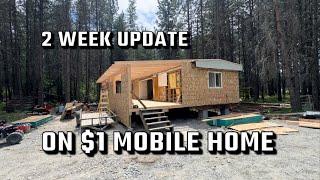 2 Week Update on our $1 Mobile Home