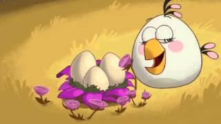 ANGRY BIRDS TOONS SEASON ONE VOLUME ONE   Trailer   On DVD 2nd December