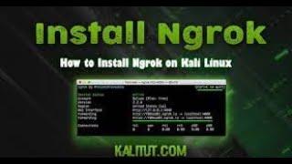 How to Install Ngrok on Kali Linux | Kali Linux 2023 [100% Working]