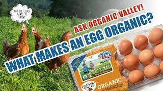 Organic Eggs | Ask Organic Valley