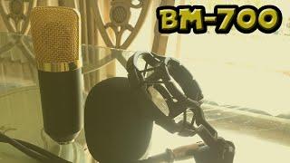 BM-700 Condenser Microphone Unboxing and MicTest !!