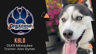 3 Y/O Husky “Kylo”| Resource Guarder Learns How To Share | Milwaukee Dog Trainers