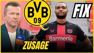 JETZT BESTÄTIGT! LEVERKUSEN-VERTEIDIGER WECHSELT ZU DORTMUND! BORUSSIA DORTMUND NEUIGKEITEN