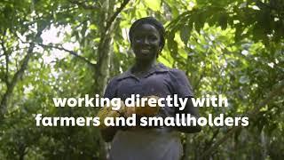 Working towards a deforestation-free and traceable supply chain | Unilever