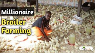 Broiler Chicken Farming Made Easy, Cheap and Profitable