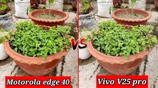 Motorola edge 40 VS Vivo V25 Pro Camera Comparison | Motorola edge 40 Camera, Video Test