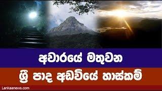 දෙවියන්ට වෙන්වූ අවාරයේ ශ්‍රී පාද අඩවියේ හාස්කම්  - Adam's peak