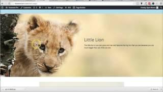 How to resize an image in Wordpress! Great Video!