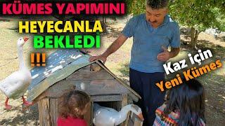 Ucuz ve Pratik Kümes Yapımı | Detaylı Kümes İnşaatı- Köy Yaşımı - İcatlar #137