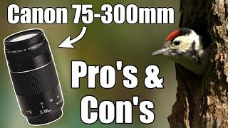 A Balanced Review of the Canon 75-300mm Lens in under 5 Minutes! Pros and Cons