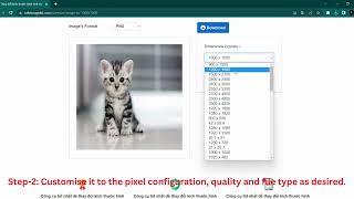 Resize your image to 1000x1000 pixels online for free Tutorial