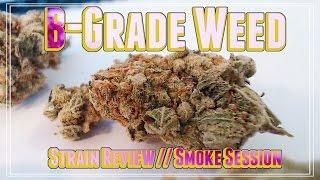 B-Grade Weed || Strain Review & Smoke Session