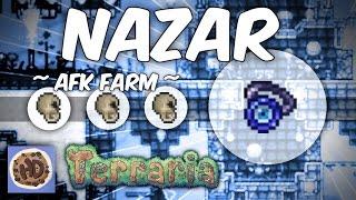 Terraria 1.3 AFK Dungeon Nazar Farm | Ankh Charm Series #3 |