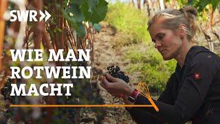 How to make red wine | SWR Craftsmanship