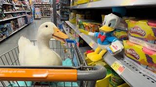 I took my duck Shopping 