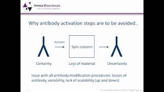 Antibody Labeling Webinar: Antibody conjugation methods - which one is best for you?