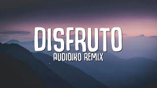 Carla Morrison - Disfruto (Audioiko Remix) LYRICS