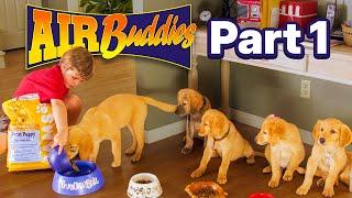 Air Buddies - Chapter 01  | Official Movie