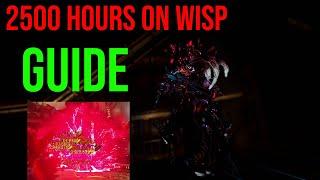 2500 Hours of Wisp Prime in One Video. The Ultimate Wisp Guide (Warframe)