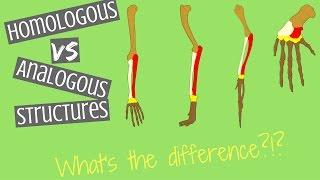 Homologous Structures vs Analogous Structures | Key Differences