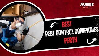 Best Pest Control Companies Perth | Aussie Places