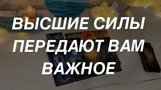 Таро расклад для мужчин. Высшие Силы Передают Вам Важное 