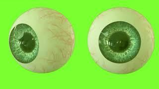 Animated Eyeballs  HD Green screen chroma key video effect