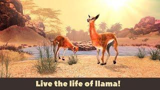 Llama Wild Life Simulator 3D-Симулятор Дикая жизни гуанако-Android