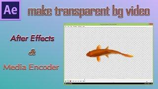 How to export Transparent background videos in After Effects and Adobe Media Encoder - 47
