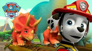 Pups retten wilde Dinos vor einem Vulkanausbruch und mehr! - PAW Patrol Germany Cartoons für Kinder