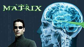 Is the Matrix Possible? Analyzing Brain Interfaces in Media | BCI Guys