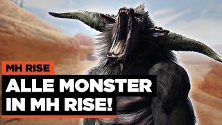 Alle 37 Monster in MH Rise - Monster Hunter Rise alle Monster Cutscenes / Intros