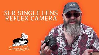 SLR | Single Lens Reflex Cameras