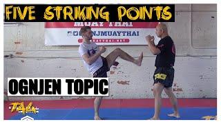 Foot Jab (Teep) – Five Striking Points with Ognjen Topic and Chris Aboy