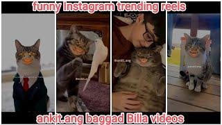 ankit.ang baggad Billa funny dubbing videos part- 9 | trending Instagram reels | #baggadbilla #cat
