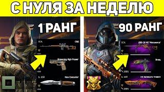 КАК АПНУТЬ 90 РАНГ ЗА НЕДЕЛЮ В WARFACE С НУЛЯ? / КАК БЫСТРО ПРОКАЧАТЬСЯ В ВАРФЕЙС 2021?