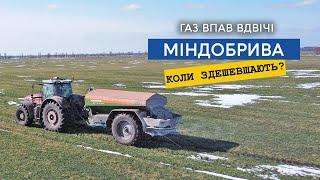 Добрива дешевшають - ціна на газ впала вдвічі! Коли впаде ціна на добрива? Аміачна селітра 28000 грн