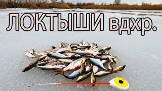 Ловим рыбу на вдхр. Локтыши. Плотва. Зимняя рыбалка. Рыбалка в Беларуси.