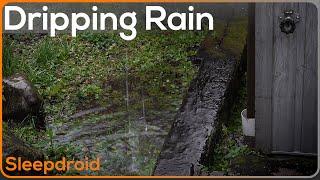 ► Dripping Rain Into Water Sounds for Sleeping ~Fall Asleep Faster with Rain Drops in Water (Lluvia)