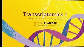 Transcriptomics 1: analyzing RNA-seq data by running bioinformatics pipelines