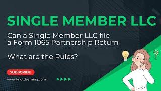 Can I File a Form 1065 For My Single Member LLC?