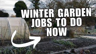 Winter Allotment Jobs - Gardening tips for beginners UK, allotment, and kitchen garden.