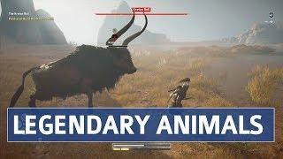 Assassin's Creed Odyssey - Daughters of Artemis Questline Location & Walkthrough (Legendary Animals)