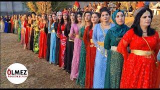 Görkemli  Kürt halayı  Dilana Kurdish -Gazi YILDIRIM Yeni