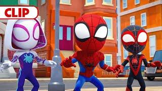 Gobby Turns Invisible | Marvel's Spidey and his Amazing Friends | @disneyjr​