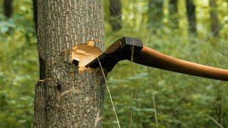 No Nails - Frontiersman Survival Shelter