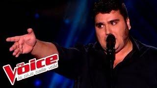 Jacques Brel - Ces gens là | Yoann Launay | The Voice France 2015 | Blind Audition