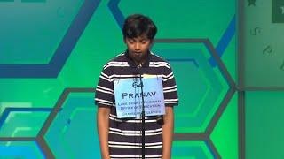 11 students competing in Scripps National Spelling Bee Championship