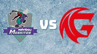 Highlights I Testspiel ESC Wohnbau Moskitos Essen - Les Gothiques Amiens